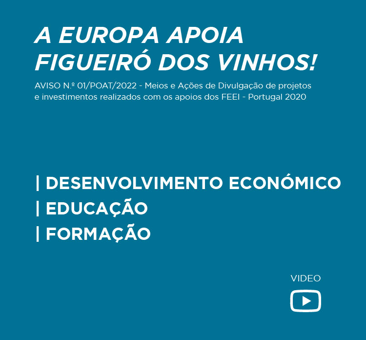 Desenvolvimento Económico, Educação e Formação