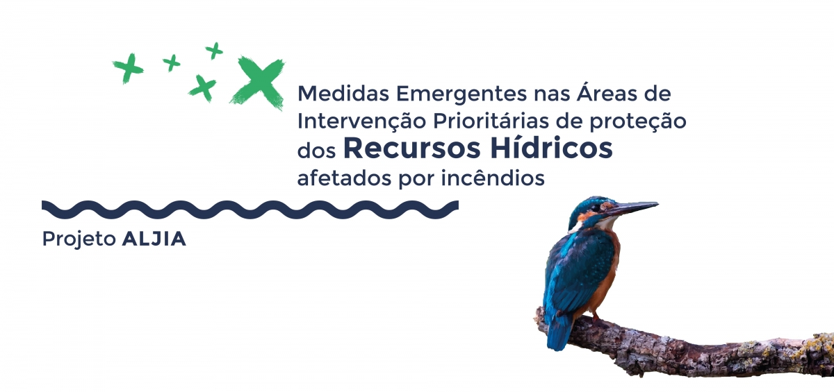 “Medidas Emergentes nas Áreas de Intervenção Prioritárias de Proteção dos Recursos Hídricos afetados por incêndios” – Projeto ALJIA (Ribeira de Alge)